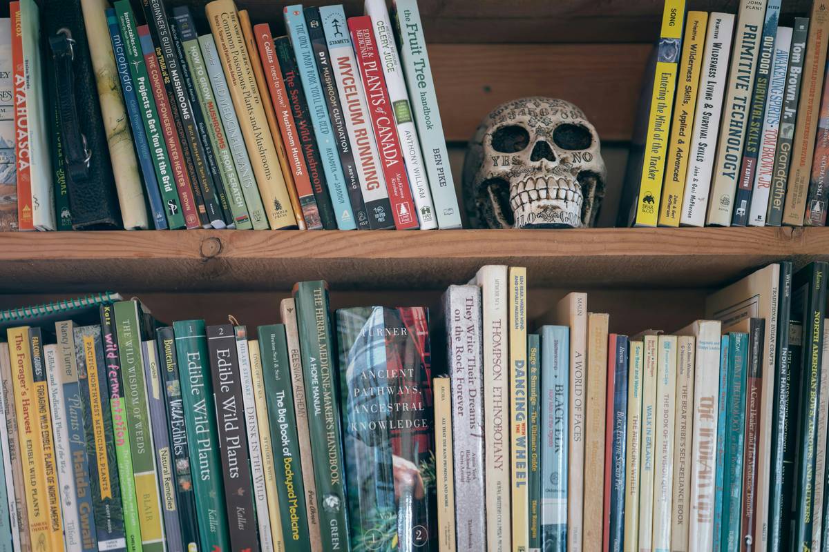 books on zombie apocalypse: Why Most Survival Stories Fail—and What Actually Works