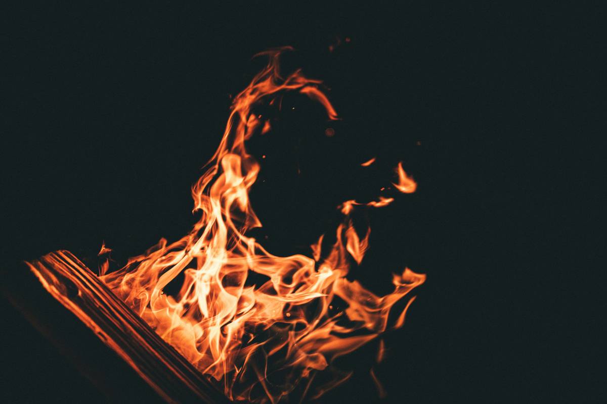 Top zombie apocalypse series books arranged on a dusty shelf with survival gear