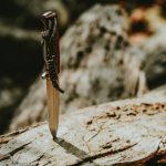 Why Most Zombie Apocalypse Book Series Fail—And the 3 That Actually Survive