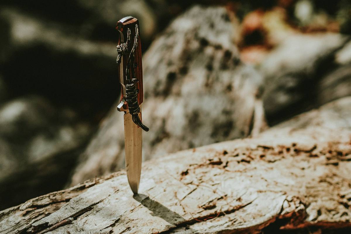 Why Most Zombie Apocalypse Book Series Fail—And the 3 That Actually Survive