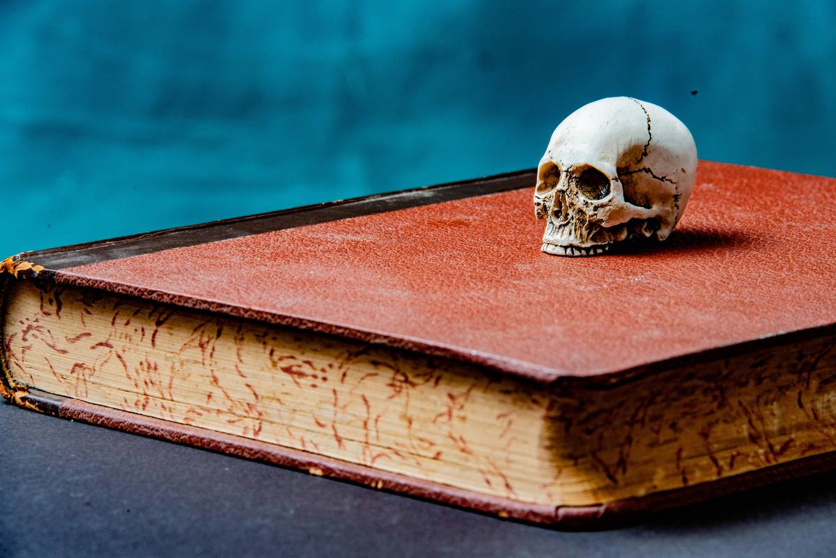 Why Your Search for Post Apocalyptic Zombie Novels Shouldn’t Stop at Fiction—And Where to Find the Best Ones