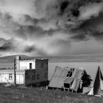Surviving the Zombie Apocalypse Novel: 7 Proven Tips to Avoid Costly Mistakes