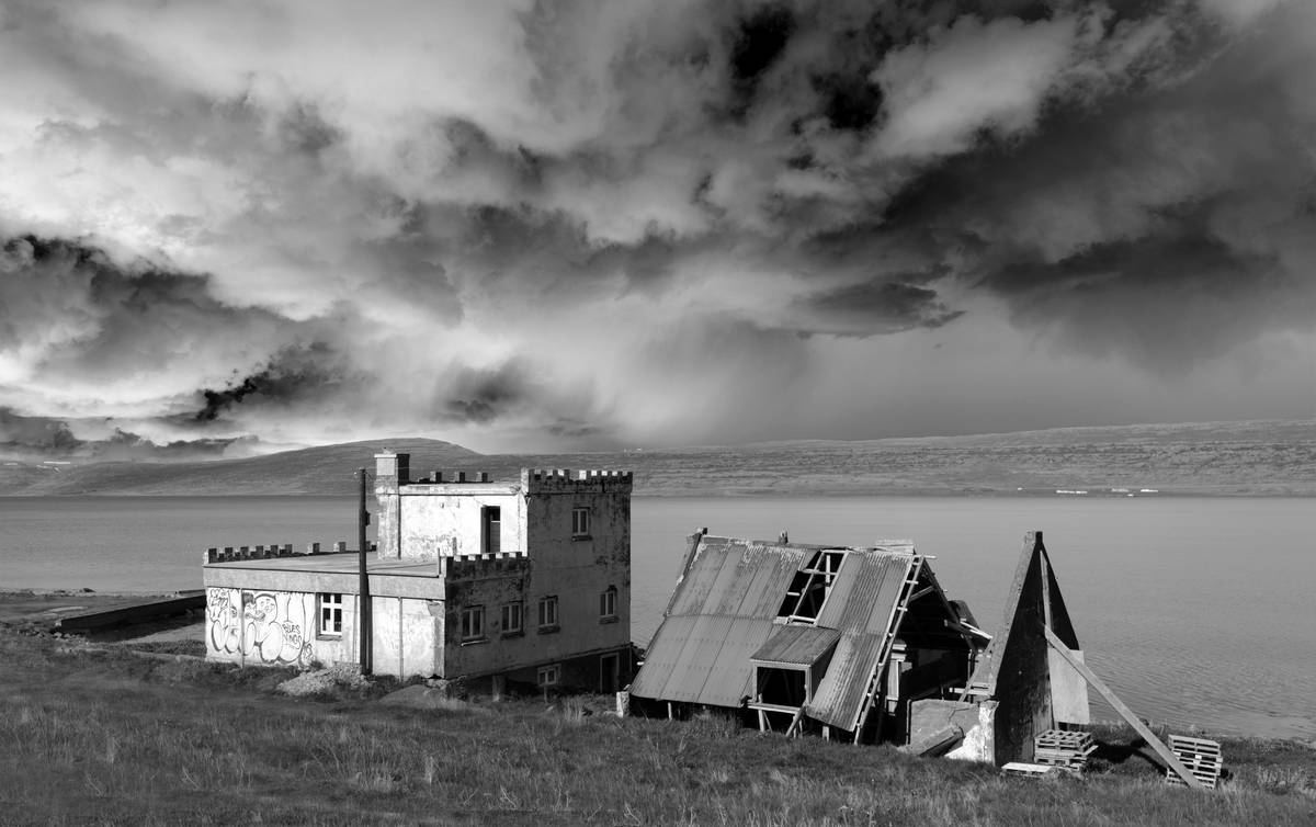 Surviving the Zombie Apocalypse Novel: 7 Proven Tips to Avoid Costly Mistakes
