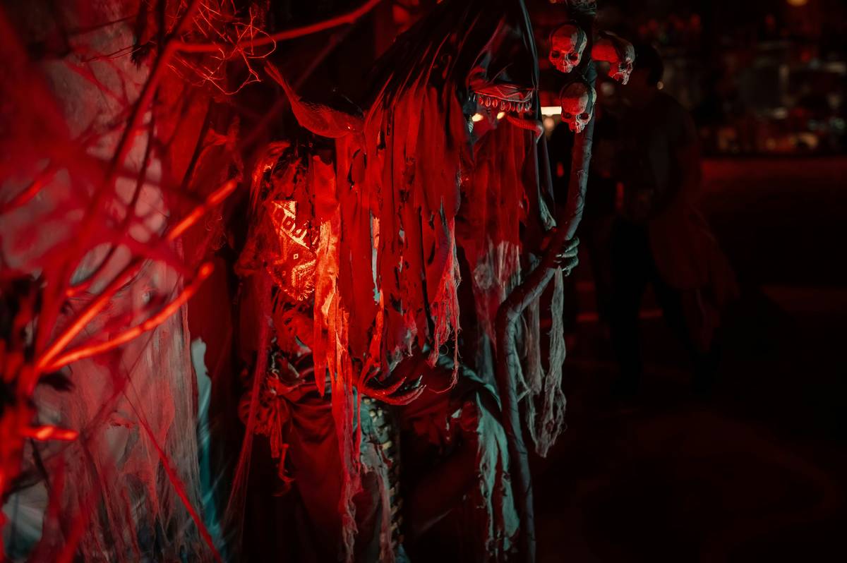 Zombie Apocalypse Skills: 7 Proven Tips to Avoid Costly Survival Mistakes
